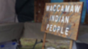 394.jpg